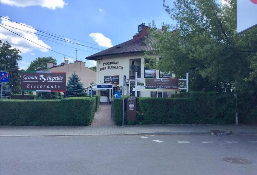 Pensjonat Przy Błoniach