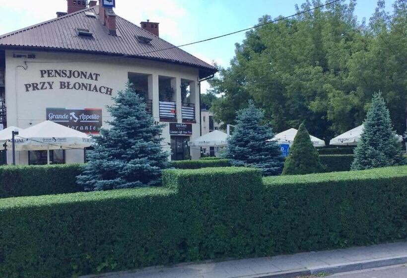 Pensjonat Przy Błoniach