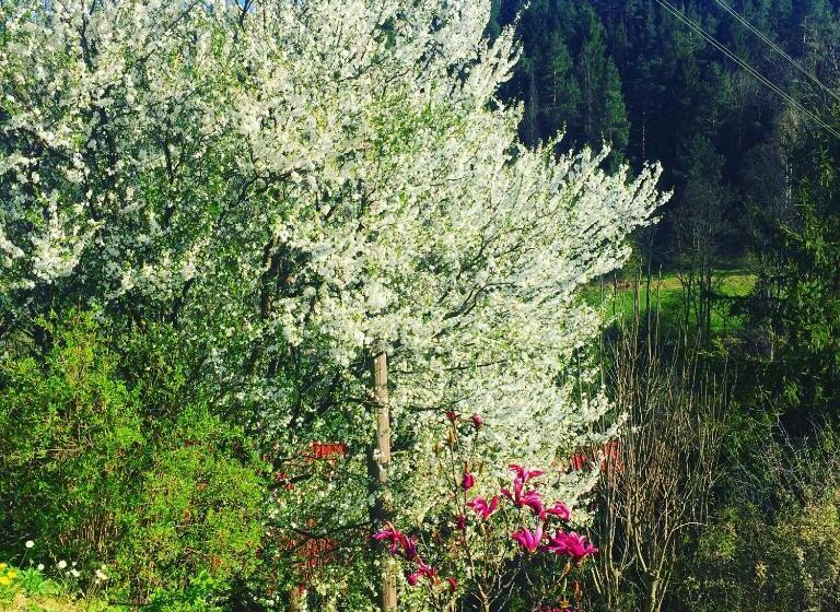 Pensjonat Rehabilitacyjno Rekreacyjny Zagórzanka