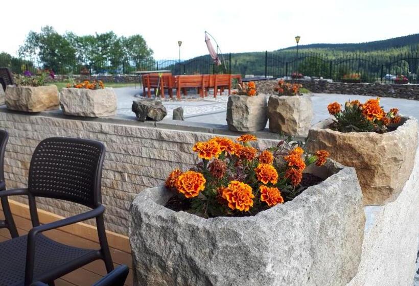 リゾートホテル Agal Zieleniec