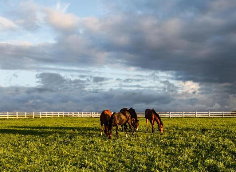 אתר נופש Ciekocinko Powozownia