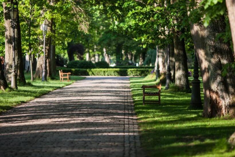 אתר נופש Ciekocinko Powozownia