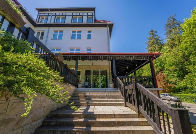 منتجع Medical Sensus