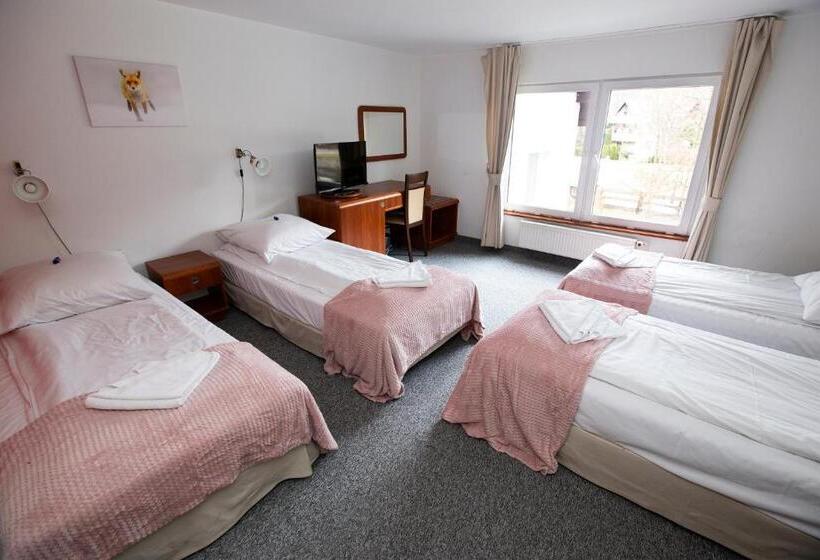 استراحتگاه Rudy Lis Szczyrk