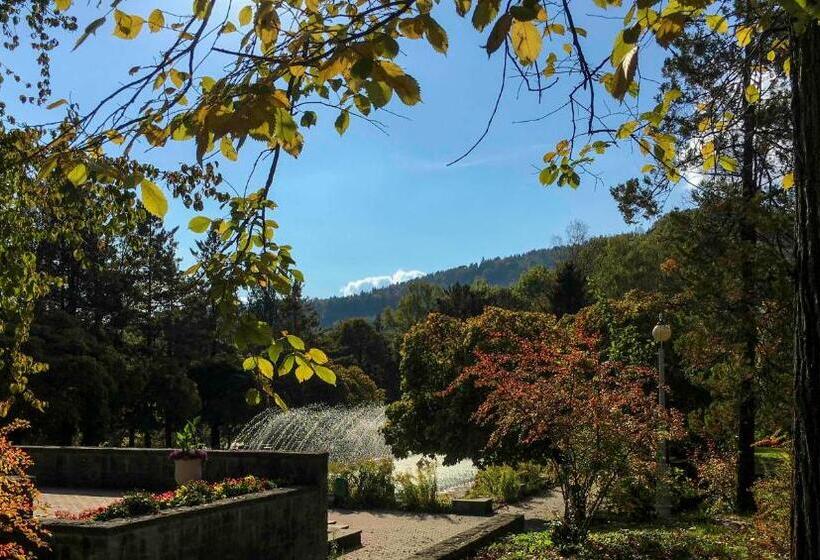 استراحتگاه Silesia Krynica