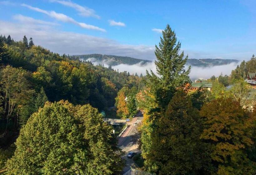 استراحتگاه Silesia Krynica