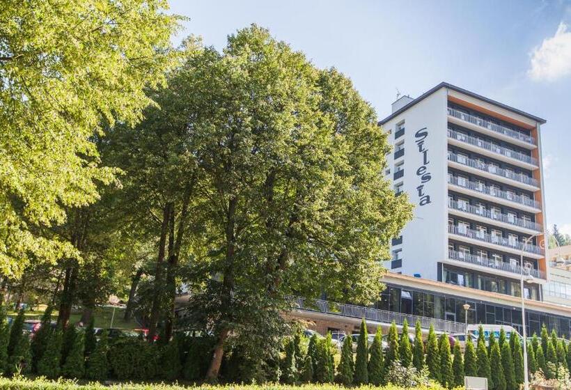 استراحتگاه Silesia Krynica