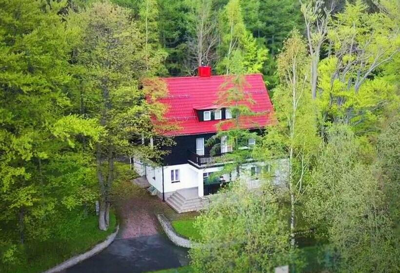 리조트 Stokrotka Natura Tour