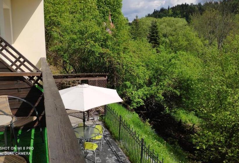 渡假胜地  Willa Jasna