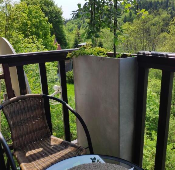 渡假胜地  Willa Jasna