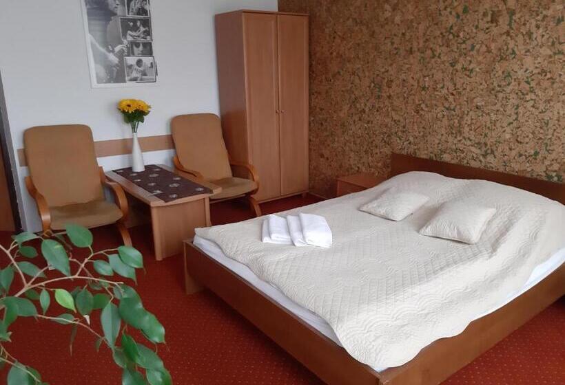 渡假胜地  Willa Jasna