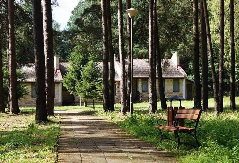 منتجع Zacisze,pl Domki Premium I Bungalowy Deluxe Nad Jeziorem łagowskim