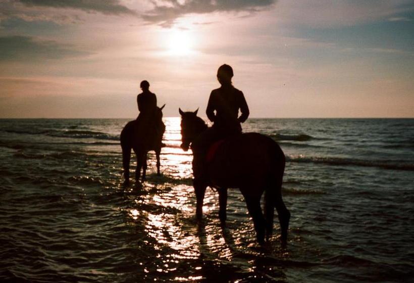 Zamek łeba Resort & Spa