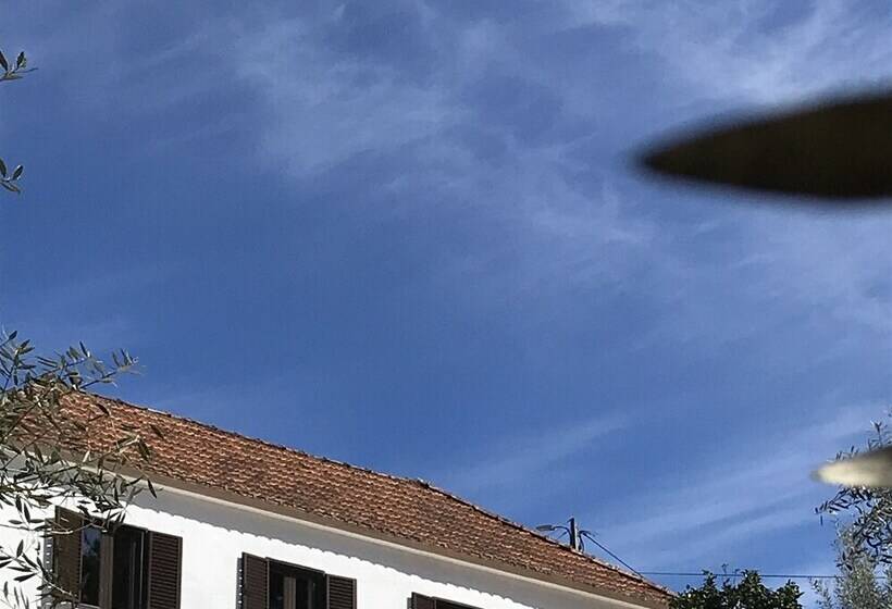 مبيت وإفطار Casa Da Oliveira