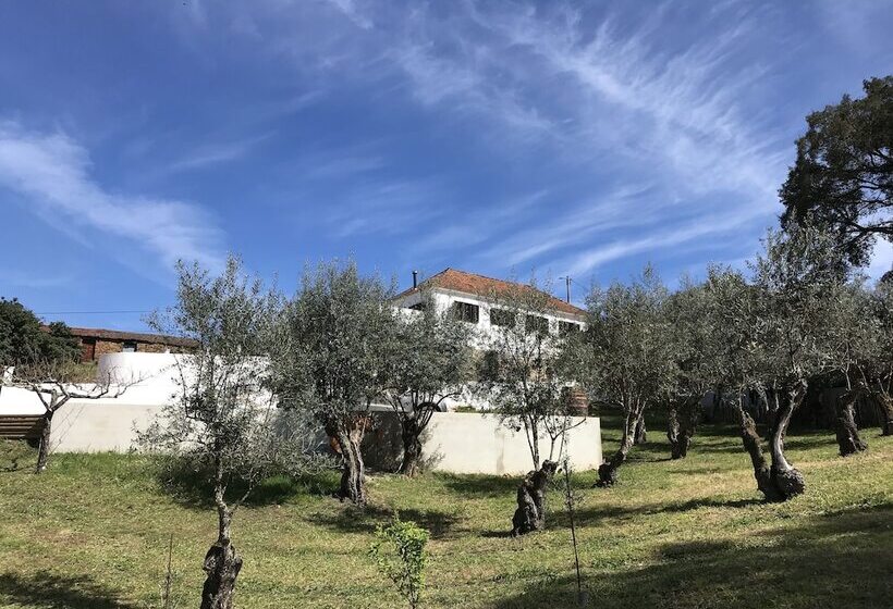 צימר Casa Da Oliveira