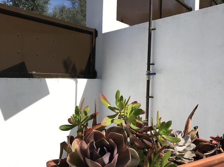 צימר Casa Da Oliveira