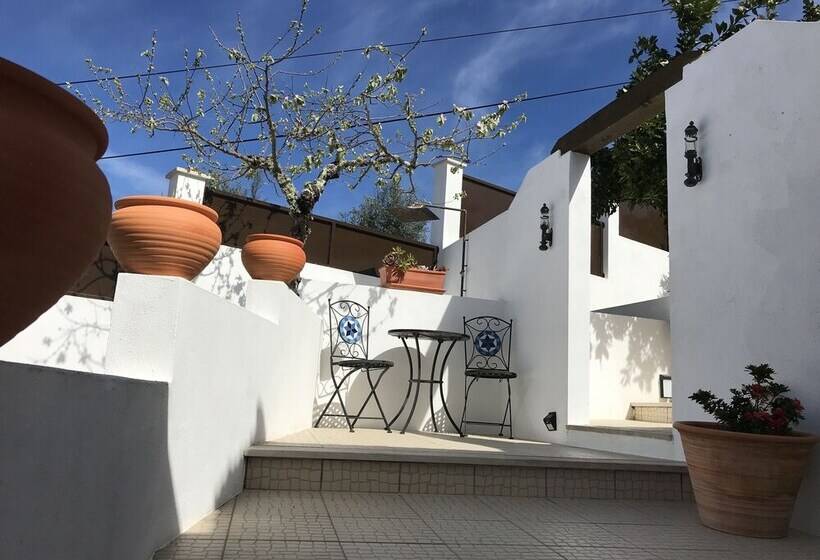 مبيت وإفطار Casa Da Oliveira