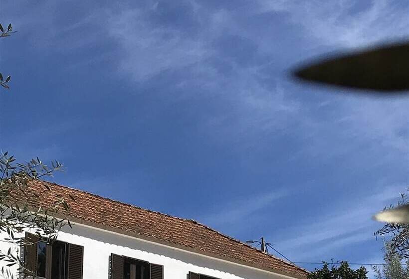 צימר Casa Da Oliveira