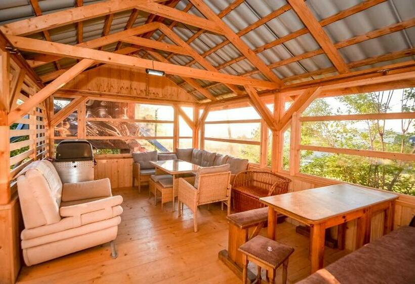 住宿加早餐  Ośrodek Wypoczynkowy Bernadetta