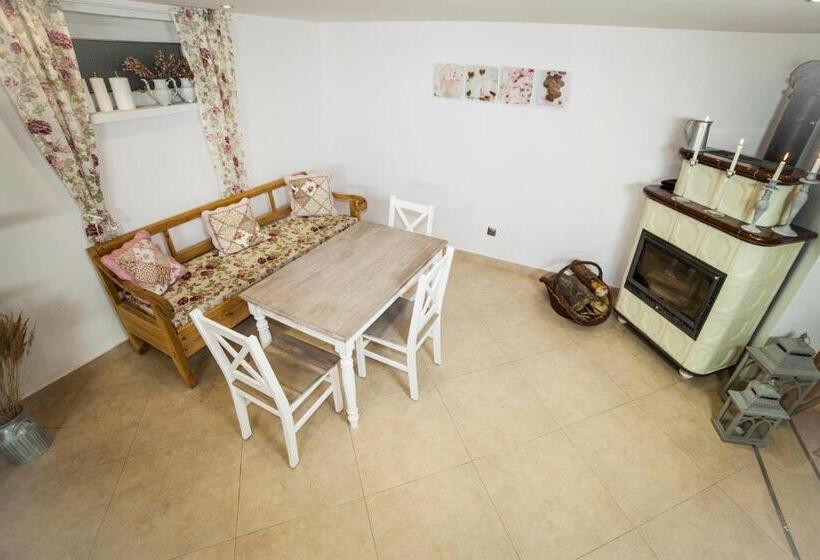 تختخواب و صبحانه Willa Izbica Karpacz