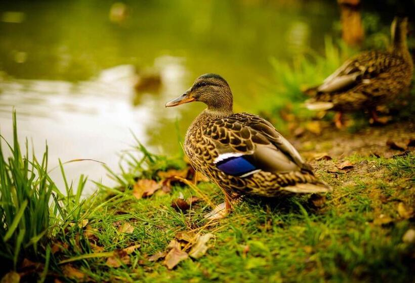 Bed and Breakfast Rowerowa Przystań Agroturystyka Nad Jeziorem Serwy