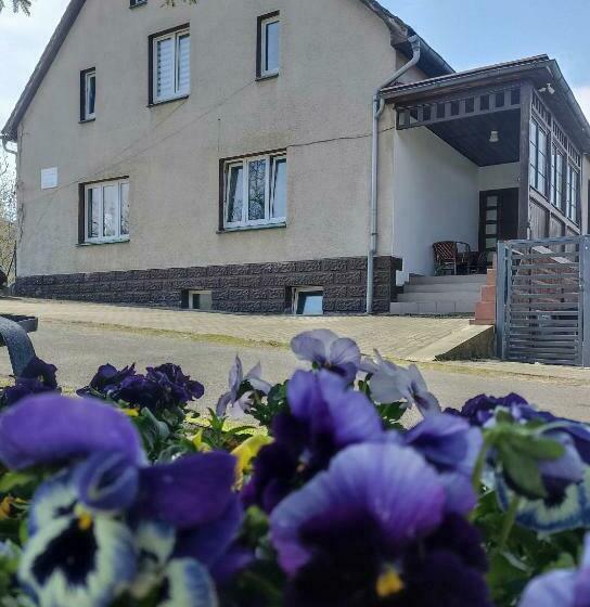 酒店 Agroturystyka Nad Bobrem