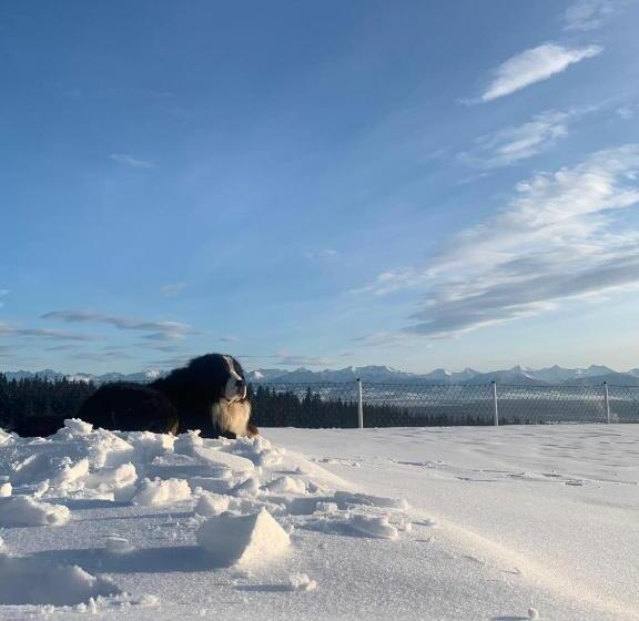 호텔 Agroturystyka Pod Gronikami