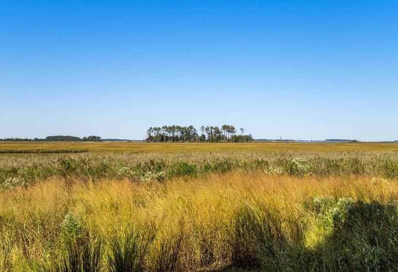 فندق Bethany Bay    37185 Harbor #3602