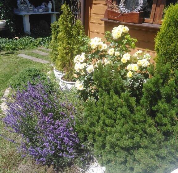 ホテル Chata Magnata