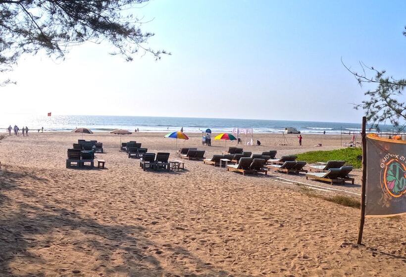 Отель Green Ivy Resort