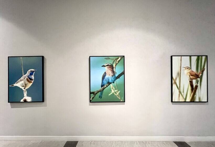 فندق Le Vert Boutique