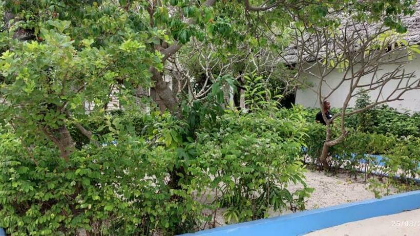 فندق Oasis Beach Inn