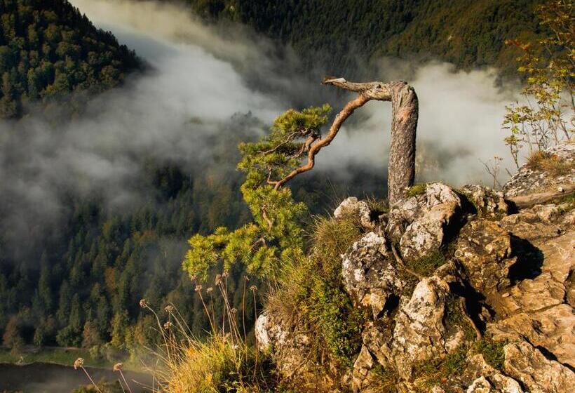 ホテル Pokoje I Apartamenty U Sabiny   Apartament I Domek Z Jacuzzi Na Wyłączność   Pozostałe Pokoje Bez Ja