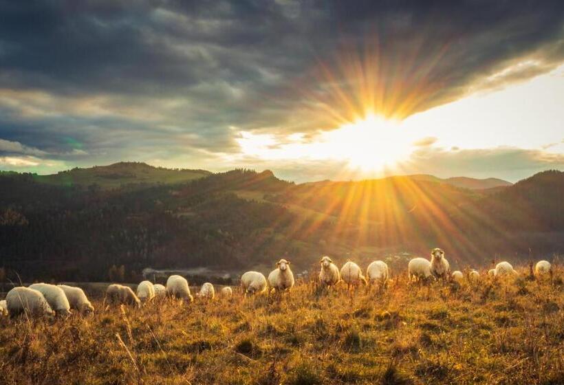 ホテル Pokoje I Apartamenty U Sabiny   Apartament I Domek Z Jacuzzi Na Wyłączność   Pozostałe Pokoje Bez Ja