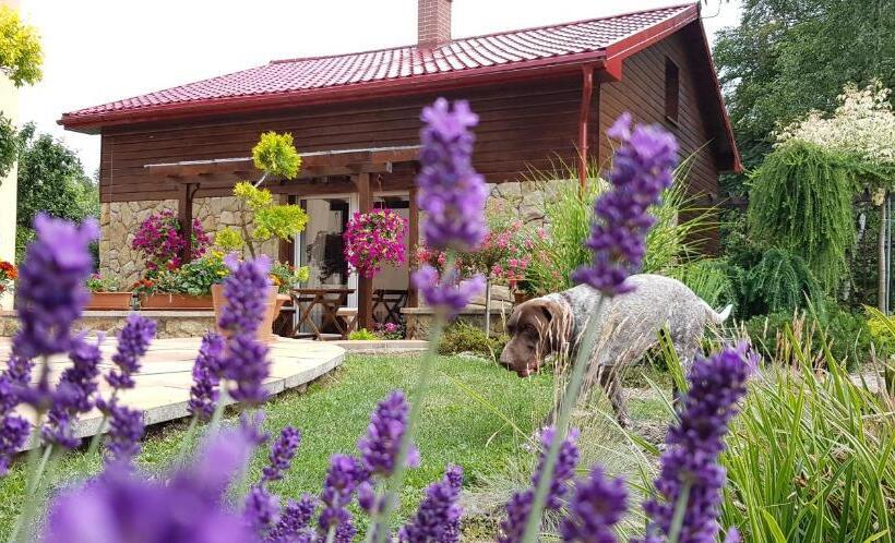 Отель Stara Stajnia Azyl Tylko Dla Dorosłych