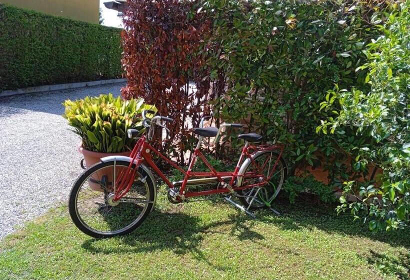 פנסיון Country House Casamiriam