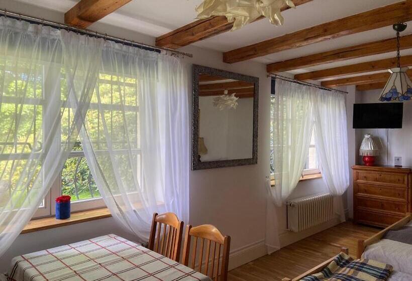 Пансион Villa Parkowa 5