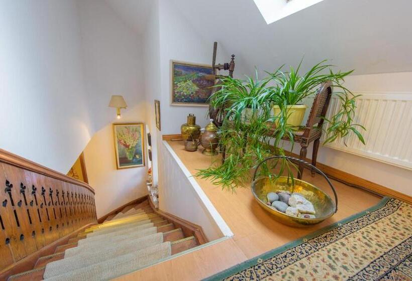 Пансион Villa Parkowa 5