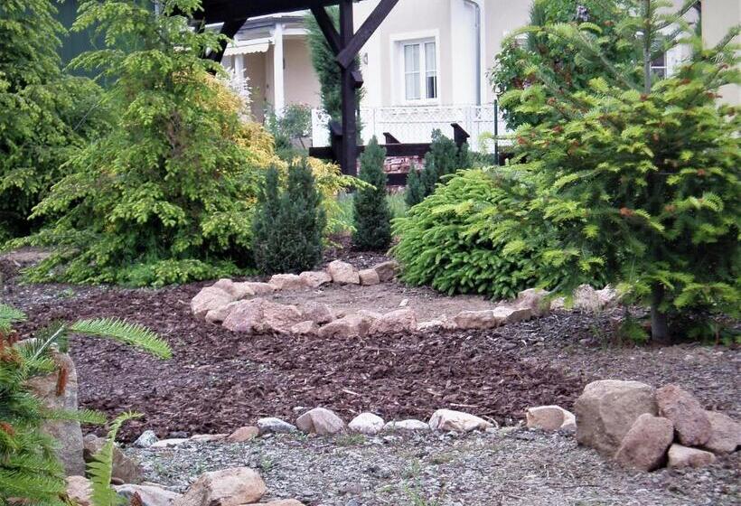 Пансион Willa Axla Z Werandą Ogrodem I Parkingiem