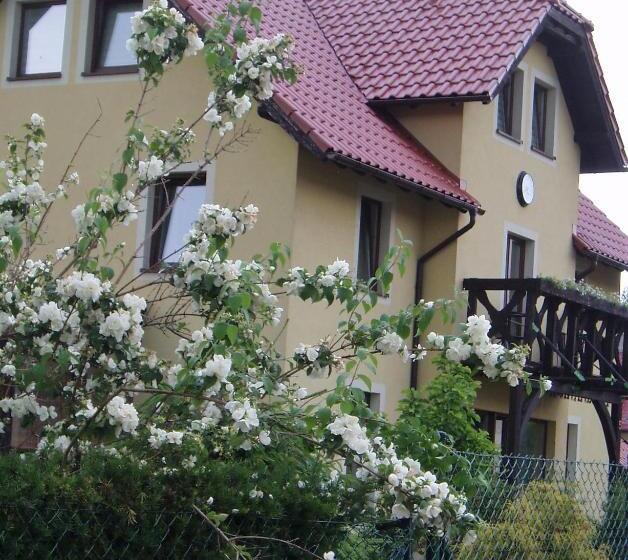 Пансион Willa Axla Z Werandą Ogrodem I Parkingiem