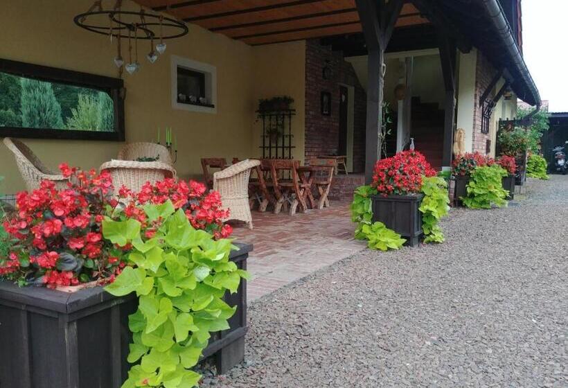 Пансион Willa Axla Z Werandą Ogrodem I Parkingiem