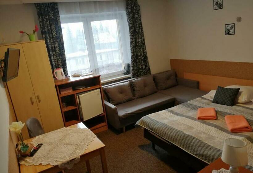 Пансион Willa Jaworowy Zdrój