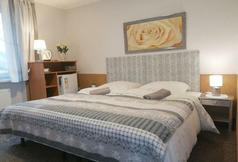 Пансион Willa Jaworowy Zdrój