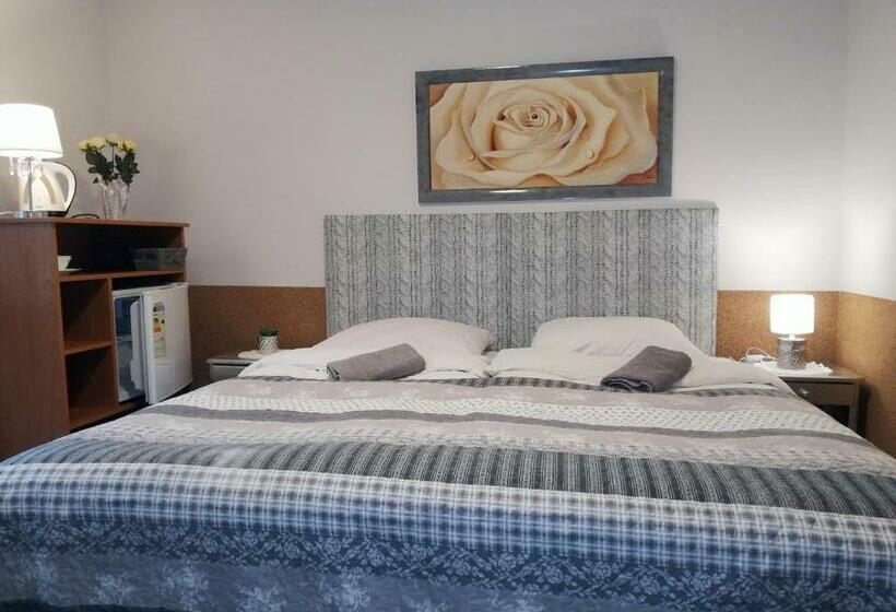 Пансион Willa Jaworowy Zdrój