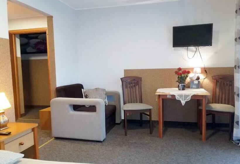 Пансион Willa Jaworowy Zdrój