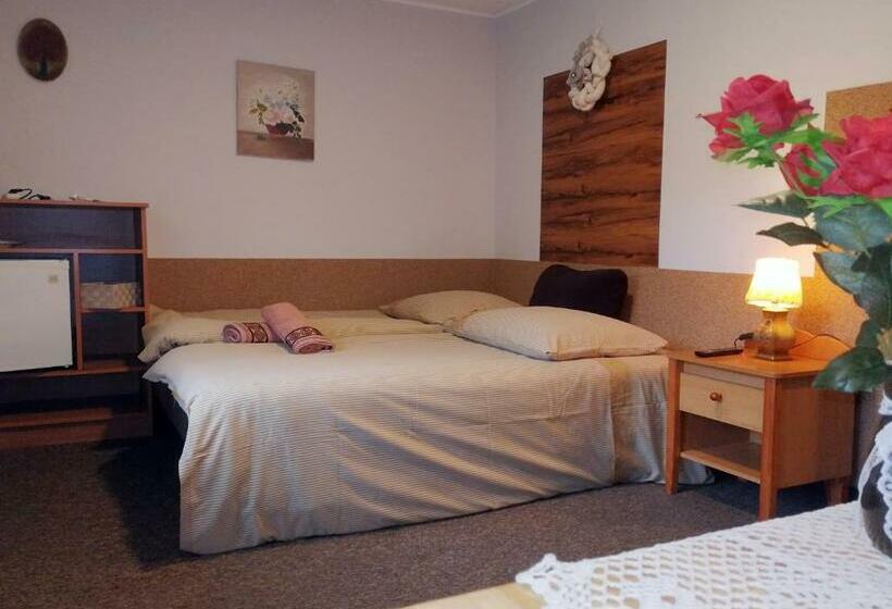 Пансион Willa Jaworowy Zdrój