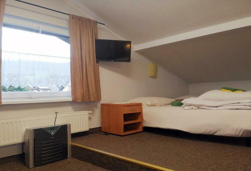 Пансион Willa Jaworowy Zdrój