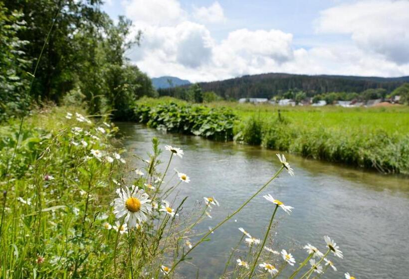 Пансион Willa Pod Stokiem