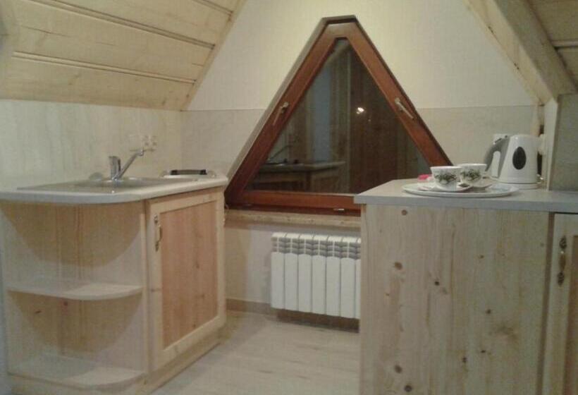 פנסיון Willa Wysoka