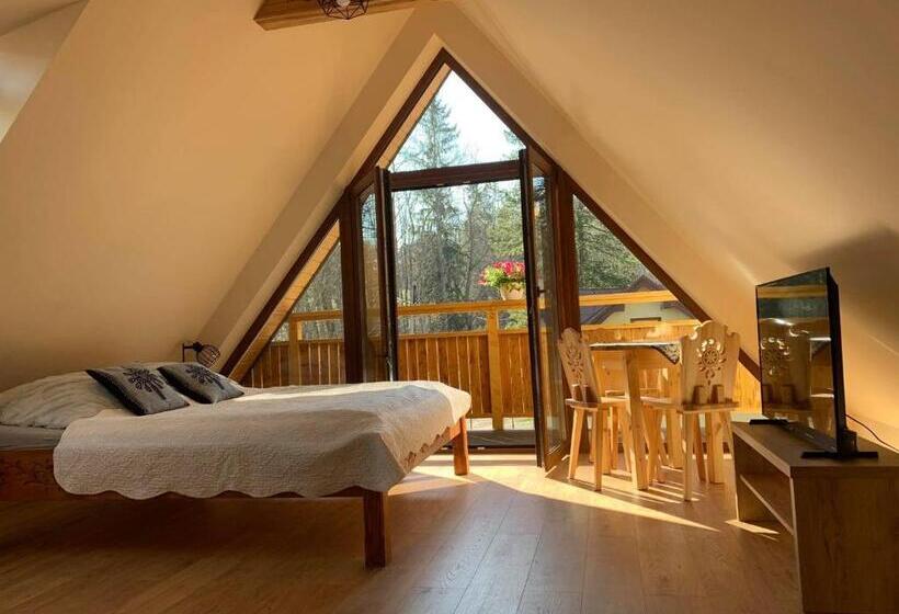 פנסיון Willa Wysoka